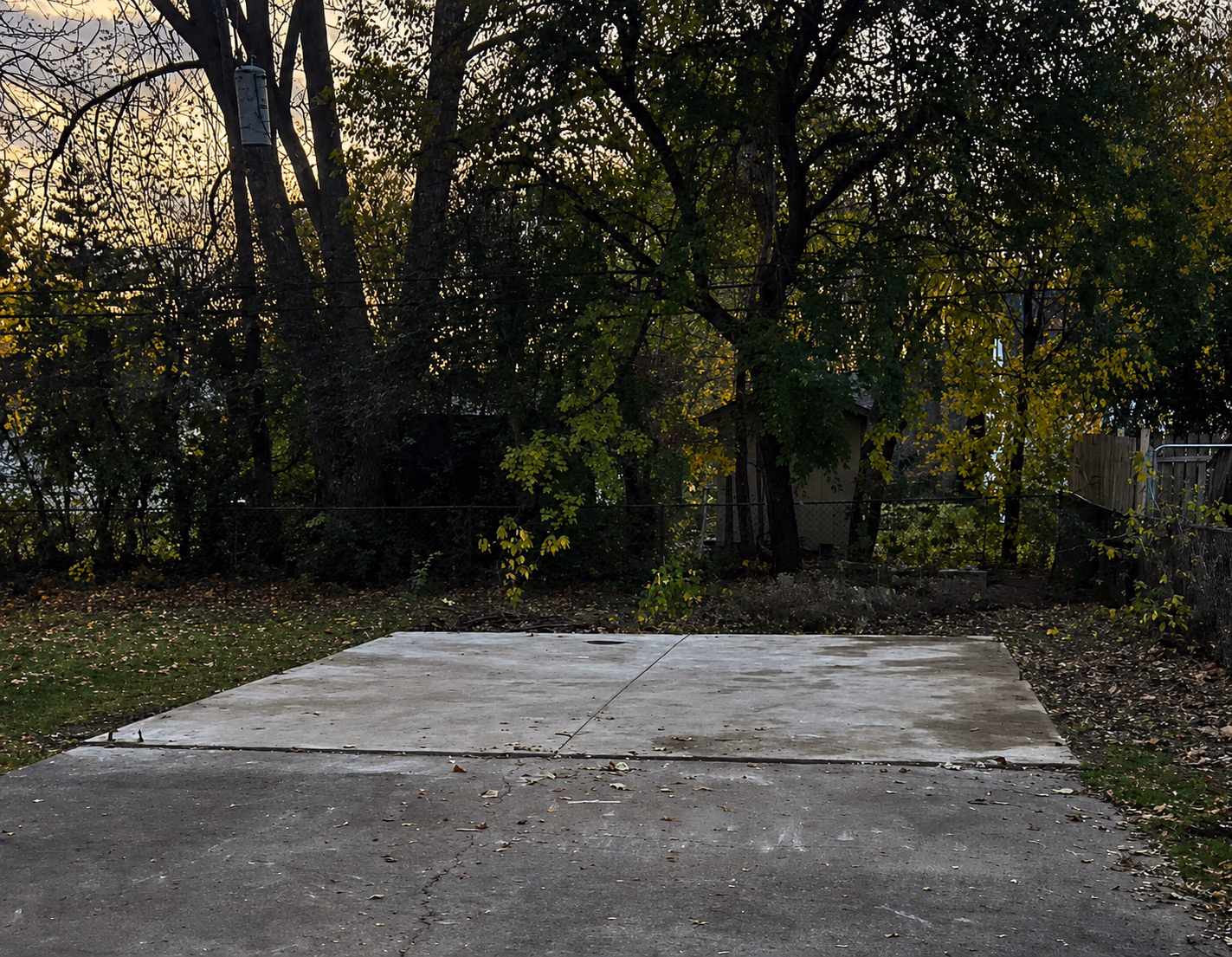 Concrete slab in a yard with trees and a shed in the background under evening light.