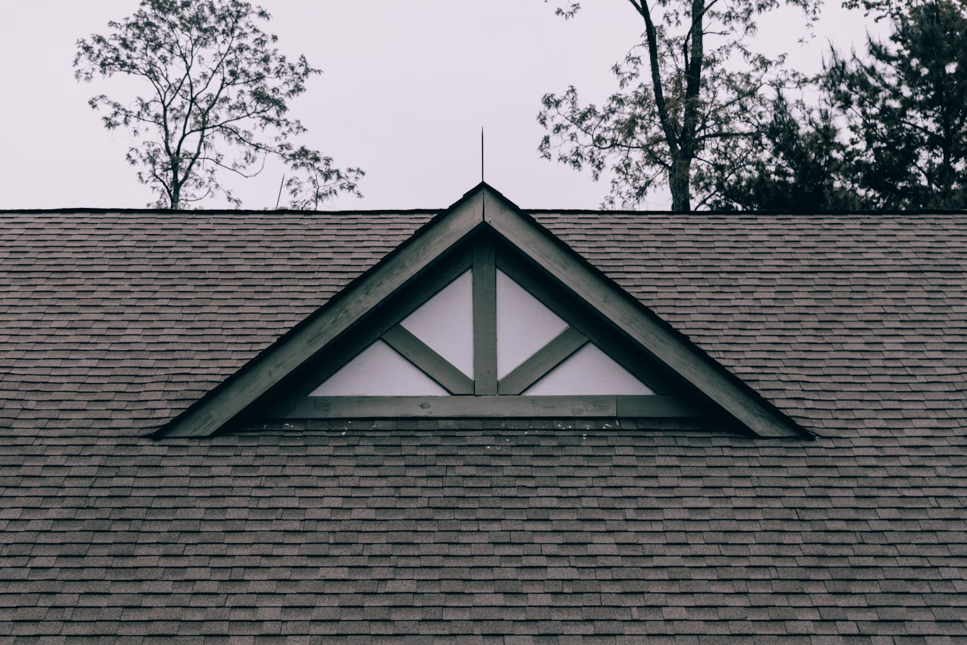 Close-up of a gray shingled roof with a triangular gable and bare trees in the background.